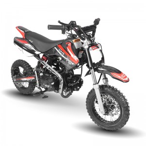 Gmx extreme 125cc dirt bike deals